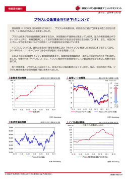 ブラジルの政策金利引き下げについて - 損保ジャパン日本興亜アセット