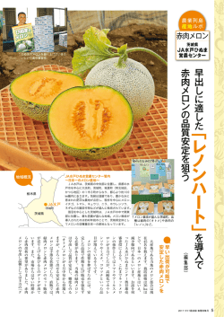 レ ノ ン ハ ー ト 」
