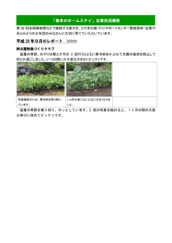 苗木の育成状況報告（H28.9月） [PDF: 363KB]