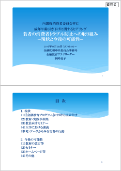 若者の消費者トラブル防止への取り組み ---現状と今後の可能性