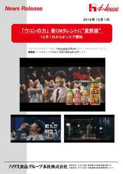リリース全文PDFファイル（2ページ）