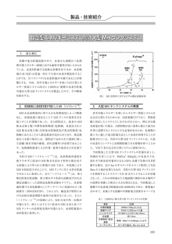 自立型エネルギーシステム向け大型MHタンクシステム