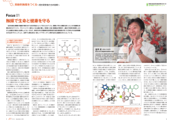 触媒で生命と健康を守る