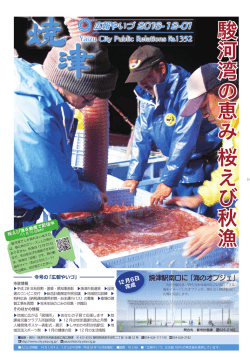 駿河湾の恵み 桜えび秋漁