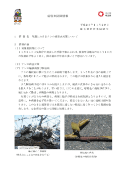 冬期におけるナシの病害虫対策について（PDF：293KB）