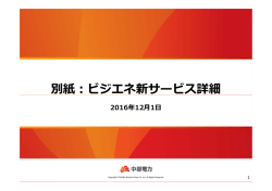 別紙：ビジエネ新サービス詳細
