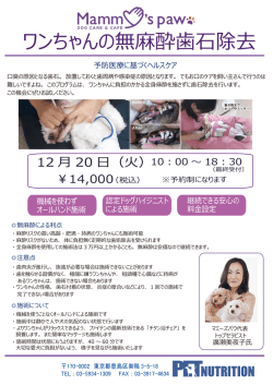 ワンちゃんの無麻酔歯石除去