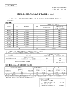プレスリリース資料 (PDF documentファイル サイズ： 173Kb)