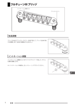 フルチューンIII ブリッジ