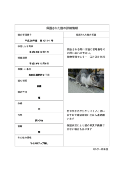 保護された猫の詳細情報