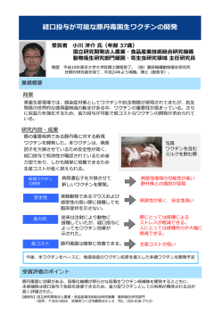 業績概要
