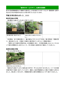 苗木の育成状況報告（H28.8月） [PDF: 564KB]