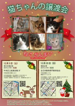 猫 ちゃんの譲渡会