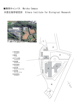 舞岡キャンパス Maioka Campus 木原生物学研究所 Kihara Institute for