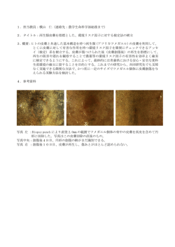 両生類皮膚を指標