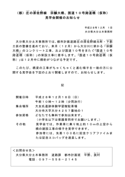 （都）庄の原佐野線 宗麟大橋、国道10号跨道橋（仮称） 見学会