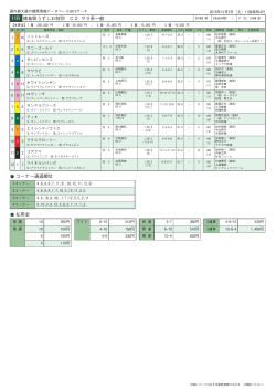 11R 徳島県うずしお特別 C2 サラ系一般 コーナー通過順位