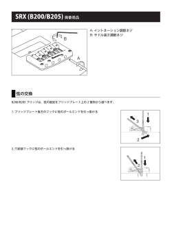 SRX (B200/B205) 廃番商品