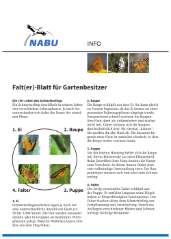 INFO Falt(er)-Blatt für Gartenbesitzer
