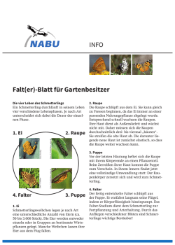 INFO Falt(er)-Blatt für Gartenbesitzer