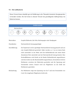 V2 – Die Luftbatterie - Unterrichtsmaterialien Chemie