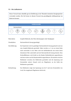 V2 – Die Luftbatterie - Unterrichtsmaterialien Chemie