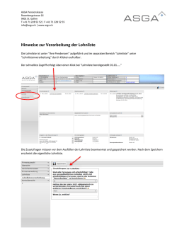 Hinweise zur Verarbeitung der Lohnliste