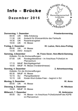 Info-Br&uuml;cke_2016-12