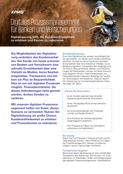 Digitales Prozessmanagement f&uuml;r Banken und