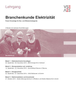 Branchenkunde Elektrizität - Verband Schweizerischer