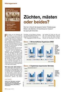 Diesen Beitrag als PDF herunterladen