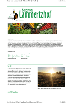 Den Advent-Newsletter als PDF downloaden
