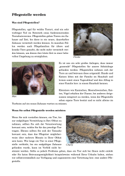 Pflegestelle werden - Tierschutzverein Kirchheim uT