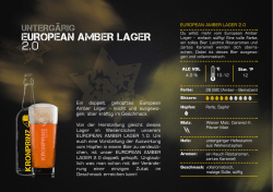 european amber lager 2.0