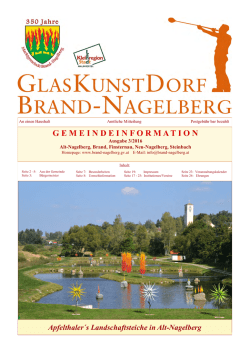 Gemeindeinformation3-2016 - Brand