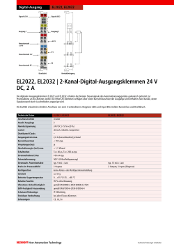 2-Kanal-Digital-Ausgangsklemmen 24 V DC, 2 A