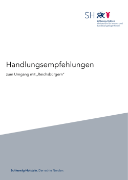 Handlungsempfehlungen - Schleswig