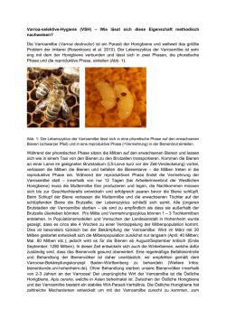 Varroa-selektive-Hygiene (VSH) – Wie lässt sich diese Eigenschaft