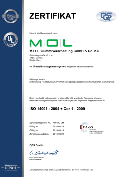UM_496810 UM_DE