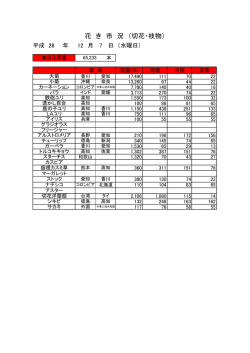 花 き 市 況 （切花・枝物）