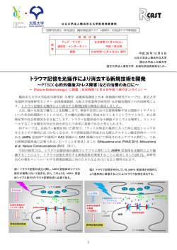 トラウマ記憶を光操作により消去する新規技術を開発