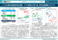 ECBは量的金融緩和策を継続 &ndash; ドラギ総裁は巧妙な策