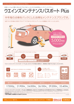 ウエインズメンテナンスパスポート Plus