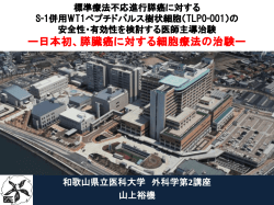 資料（PDFファイル）
