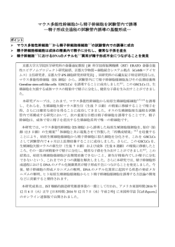 マウス多能性幹細胞から精子幹細胞を試験管内で誘導