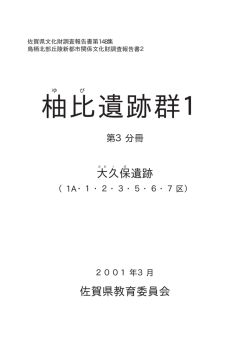 柚比 遺跡群1