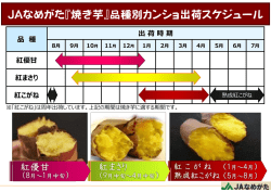 JAなめがた『焼き芋』品種別カンショ出荷スケジュール