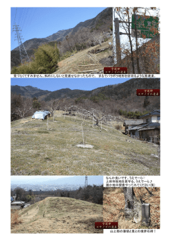 ブログ写真 うえでーら(上田市)