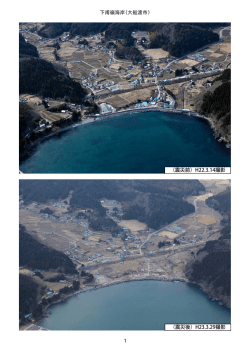 下甫嶺海岸（大船渡市）