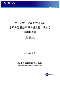 概要版 - みずほ情報総研